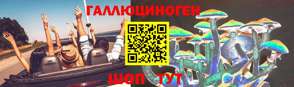 Галлюциногенные грибы прущие грибы Видное