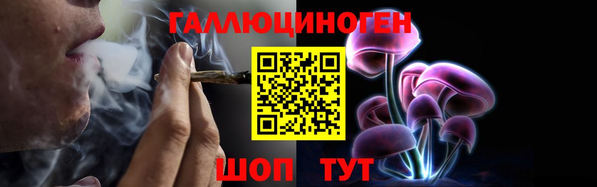 Галлюциногенные грибы Psilocybine cubensis  Вход с VPN  Видное 
